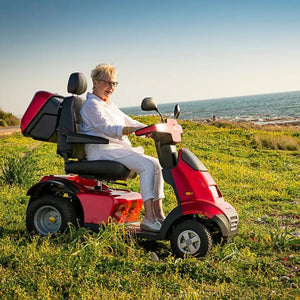 Afiscooter S 2 - in - 1 Golf Cart Mobility Scooter - Afikim - 2 Seater Electric Scooters